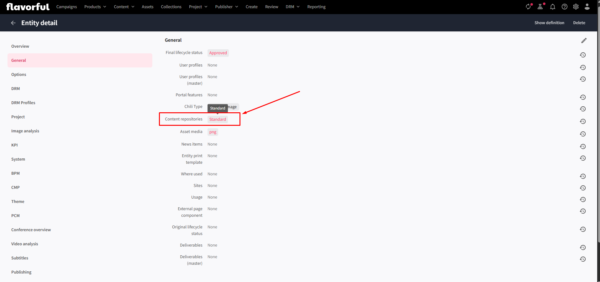 entity details - repository